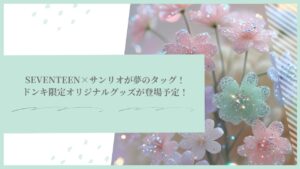 SEVENTEEN×サンリオが夢のタッグ！ドンキ限定オリジナルグッズが登場予定！