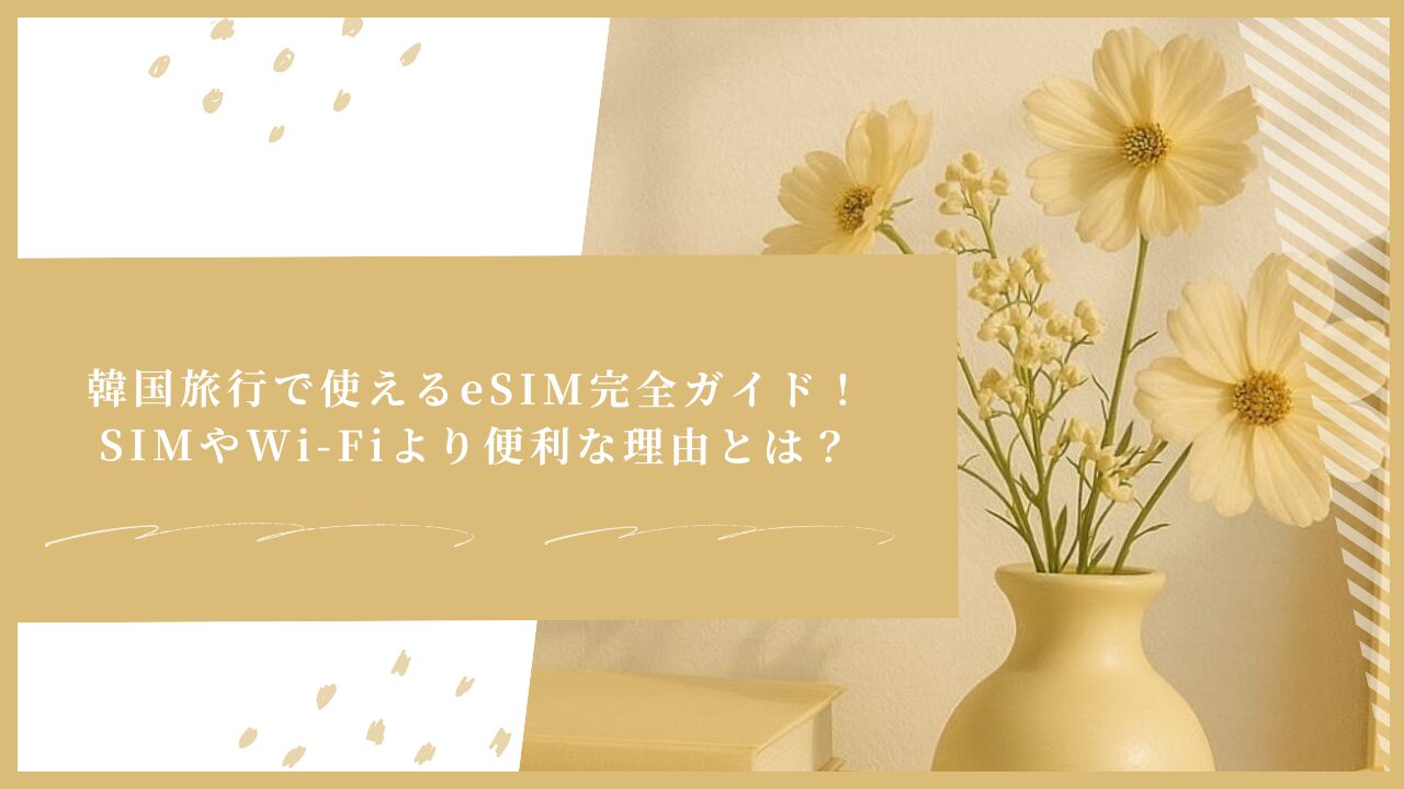 韓国旅行で使えるeSIM完全ガイド！SIMやWi-Fiより便利な理由とは？